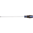 Fuel system screwdriver