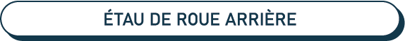 étau de roue arrière